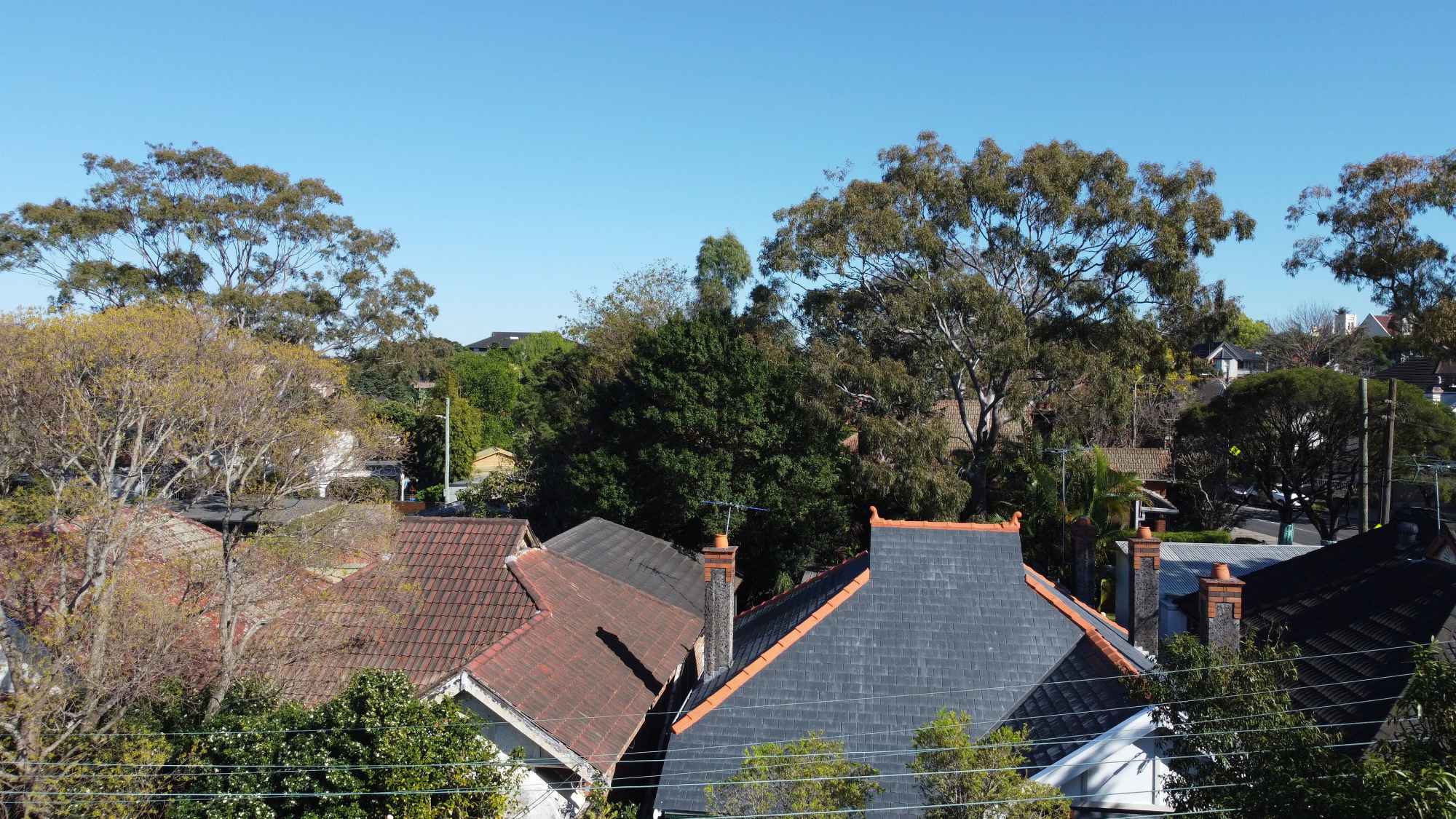 Marrickville Heritage Slate Roof Replacement 8